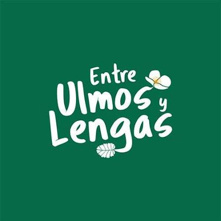 Entre Ulmos y Lengas